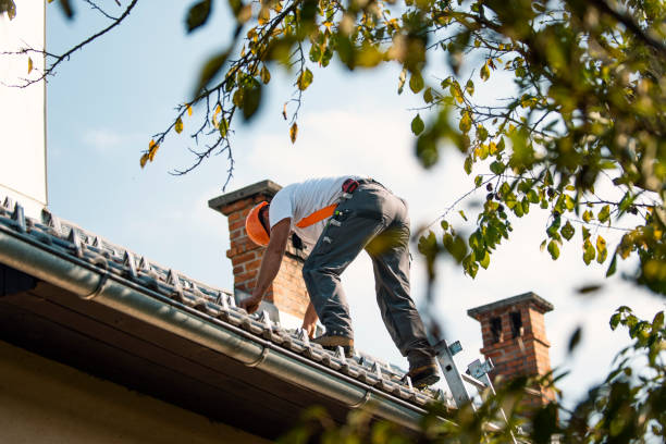 Best Storm Damage Roof Repair  in Craig, AK